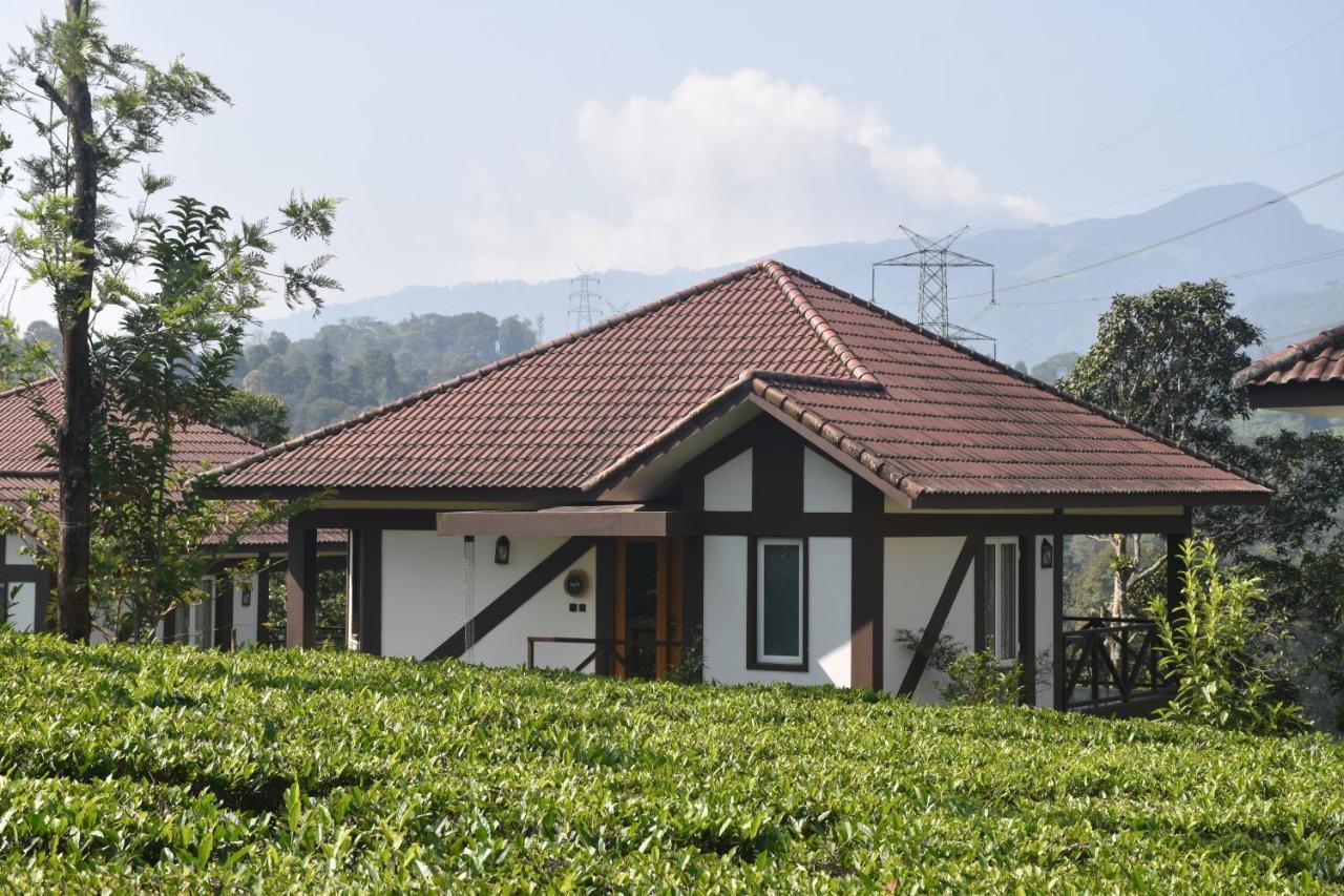 Jeevess Retreat Wayanad Exterior foto